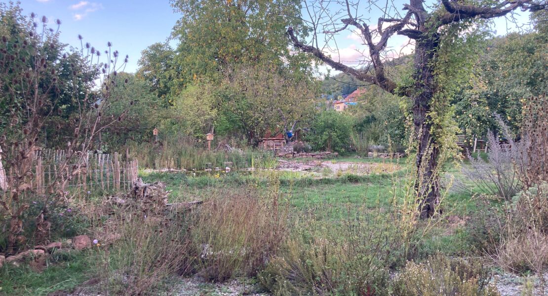 der-vogelfreundliche-garten-als-personliches-schutzgebiet