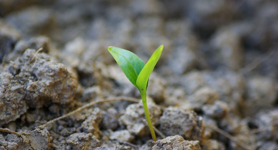 resilienz-und-selbstfursorge-mich-und-meine-krafte-starken