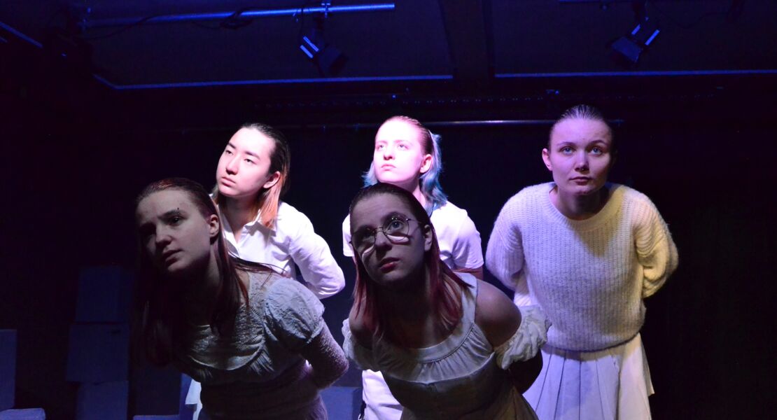 was-das-nashorn-sah-als-es-auf-die-andere-seite-des-zauns-schaute