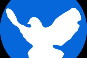 Schulstreik gegen Wehrpflicht am 5. März 2026