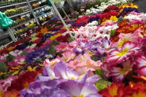 Mellerschter Frühling