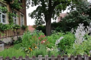 NaturgartenTour 2026: Themenführung 