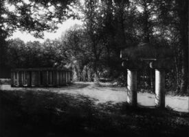 Artist Talk: Stefanie Hofer zum Ausstellungsende 