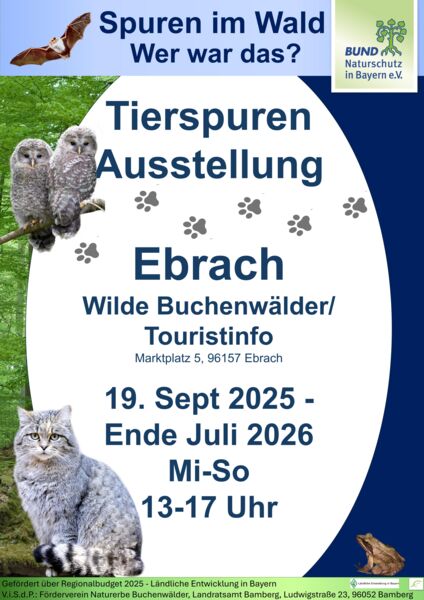 spuren-im-wald-wer-war-das