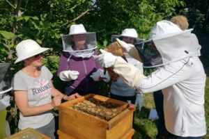 Imkerkurs Anfänger Umweltstation Marktsteft