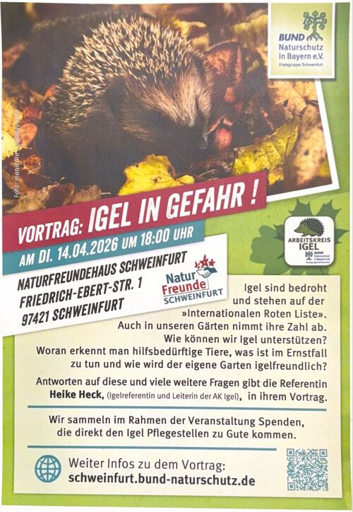 igel-in-gefahr