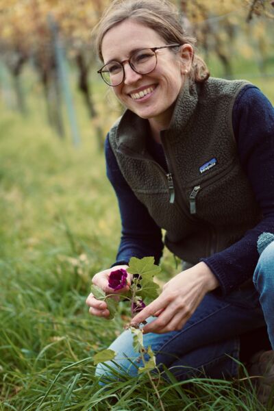 wildkrauter-wein-in-castell