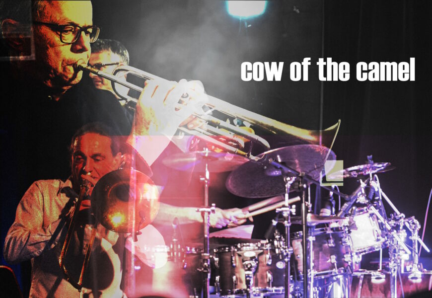 nu-jazz-im-roxy-kitzingen-mit-cow-of-the-camel