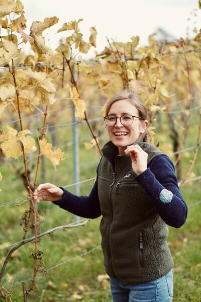 weinwandeln-weintour-durch-castell