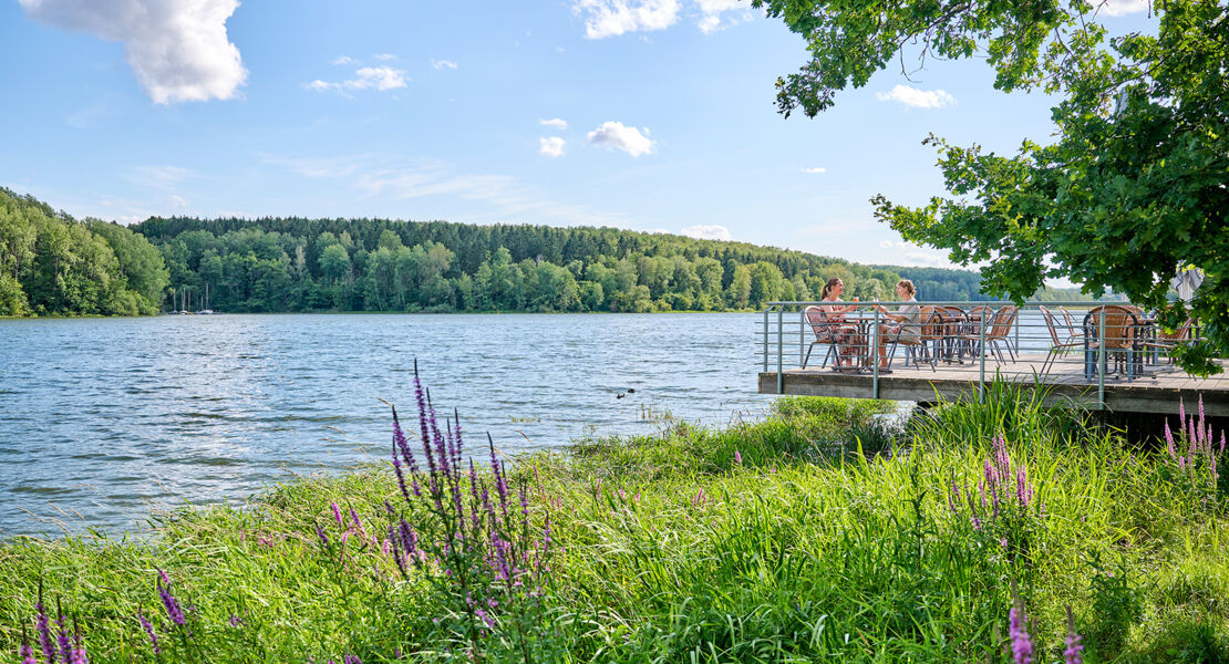 abgesagt-seefuhrung-rund-um-den-ellertshauser-see