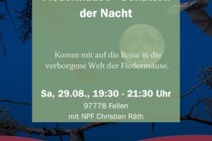 Fledermäuse - Schatten der Nacht