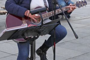 Picknickkonzert im Hofmannshain