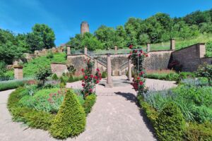 Offene Stadtführung - Führung durch den Ronkarzgarten