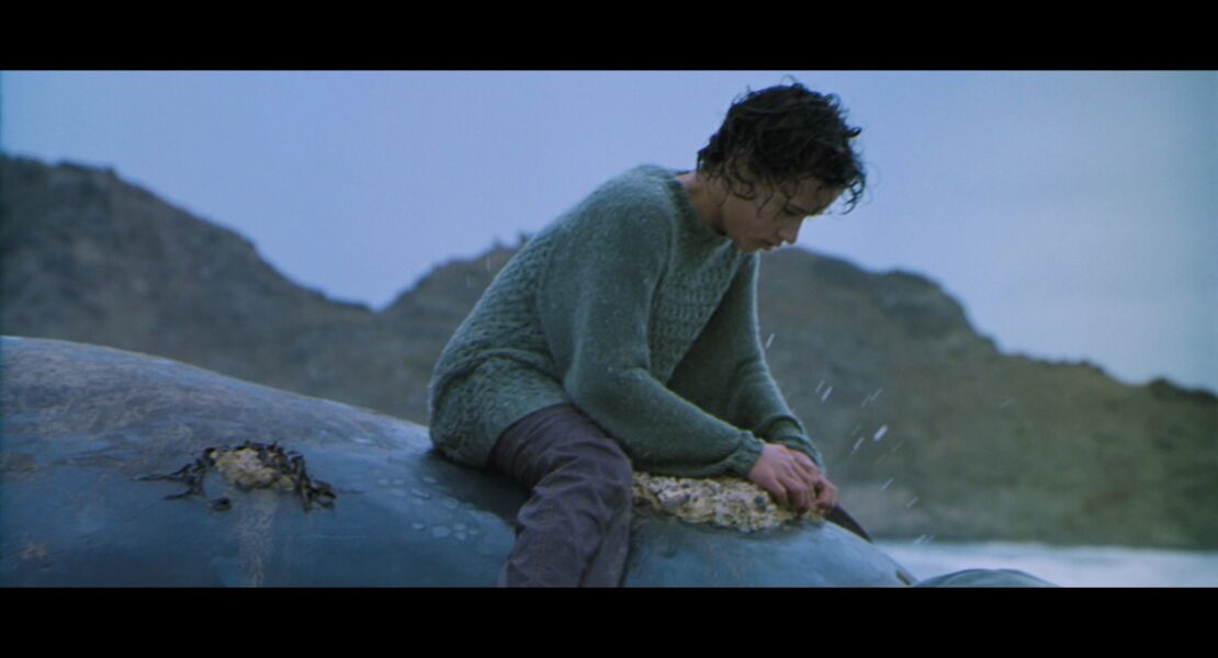 whale-rider-serie-coming-of-age-ii