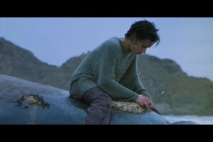 Whale Rider (Serie: Coming of Age II)