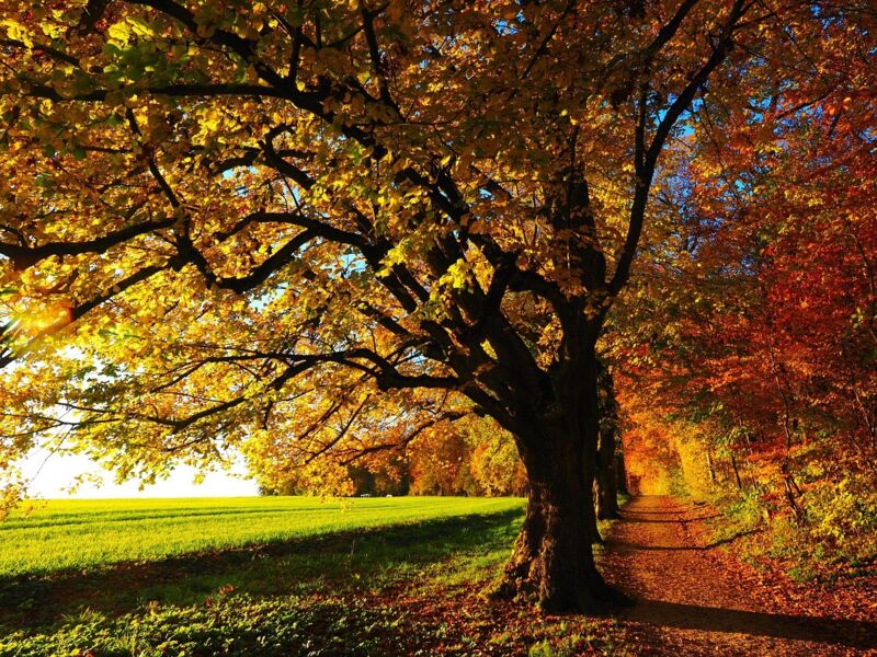 frauengemeinschaft-dittelbrunn-herbstwanderung