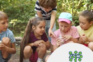 Kleine Naturdetektive unterwegs – Jahreszeiten-Abenteuer für Kinder Für Familien mit Kindern von 6 bis 8 Jahren