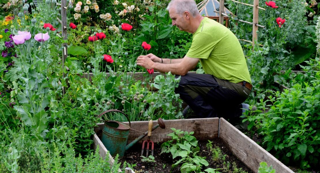 wie-selbstversorgung-gelingen-kann