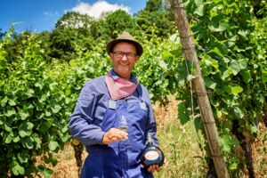 Stadtgeschichten mit dem Winzerburschen Peter