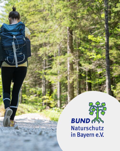 auf-dem-panoramaweg-in-bottigheim-elsberg-wurmberg-rainberg-kulturokologische-wanderung