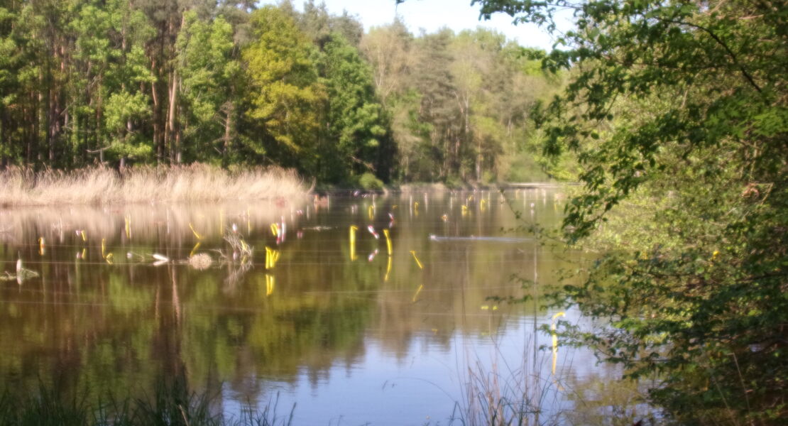 rund-um-uehlfeld-im-aischgrund-wo-die-stosche-klappern