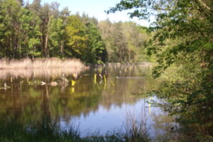Rund um Uehlfeld im Aischgrund, wo die Stösche klappern