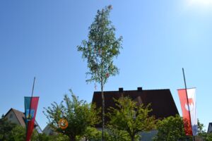 Maibaumaufstellung in Wiesentheid