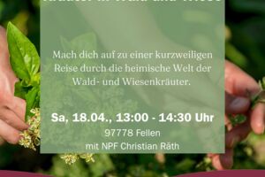 Kräuter in Wald und Wiese