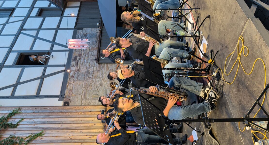 sommerkonzert-alle-neune-ft-cold-fire-die-dead-horse-big-band