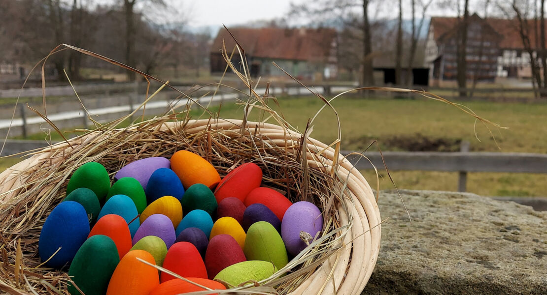 mein-name-ist-hase-ostern-im-museum