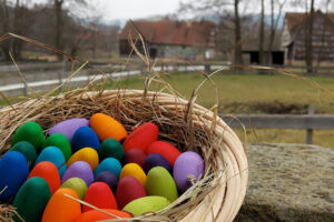 Mein Name ist Hase - Ostern im Museum