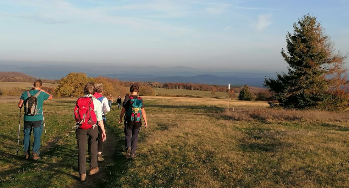 wanderung-fur-singles-u50-rhon-heidelstein