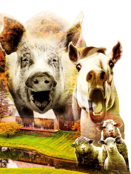 farm-der-tiere-das-musical