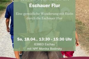 Esel on Tour durch die Eschauer Flur