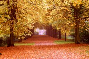 Schlossparkführung auf dem Schwanberg - im Anschluss um 15.30 Uhr Konzert auf der Kirchentreppe mit 