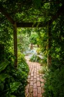 Ein Garten voller Heilkräfte