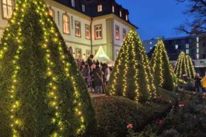 Winter-Schlossmarkt