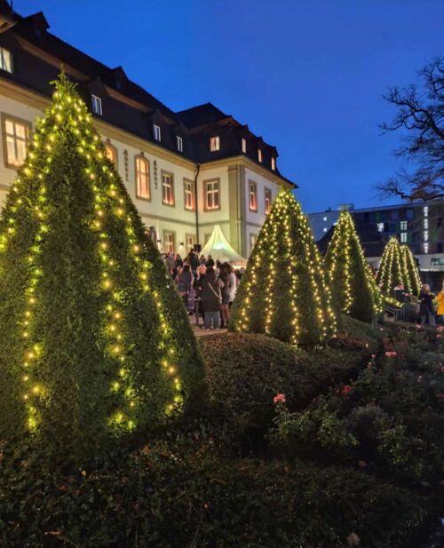 winter-schlossmarkt