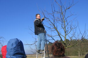 Schnittkurse für Obstbäume und Sträucher / Gehölze