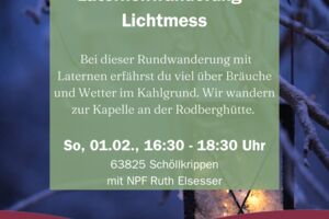 Laternenwanderung - Lichtmess