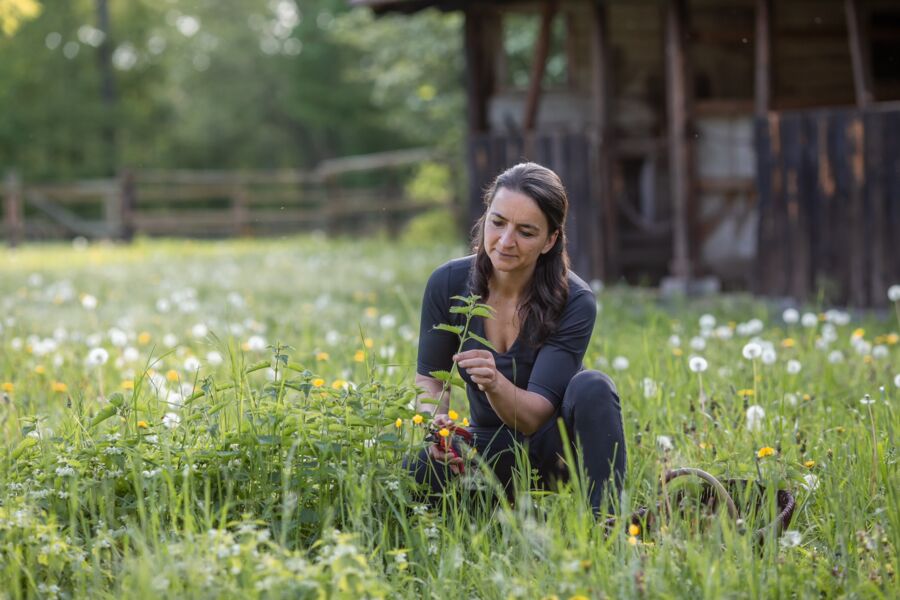 weinwiesenwildkrauter-in-castell