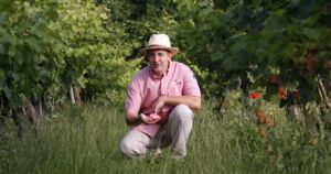 Weinbaden / Waldbaden – Naturerlebnis für alle Sinne