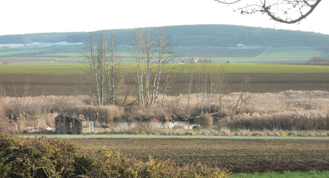 vogelstimmenwanderung-am-gspring