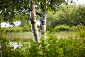 Nachhaltigkeitstage bei IKEA Würzburg