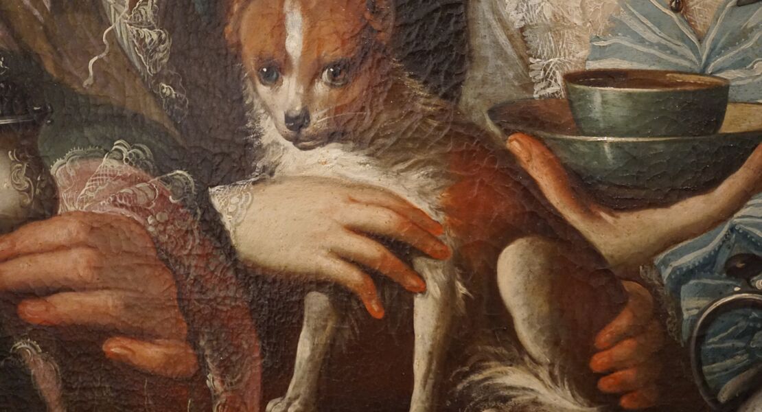 ferien-familienfuhrung-auf-tiersafari