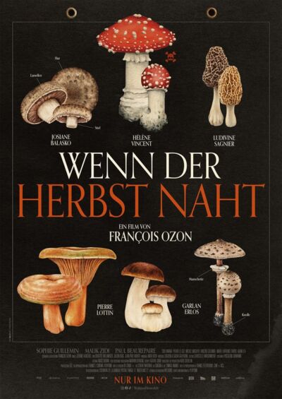 wenn-der-herbst-naht
