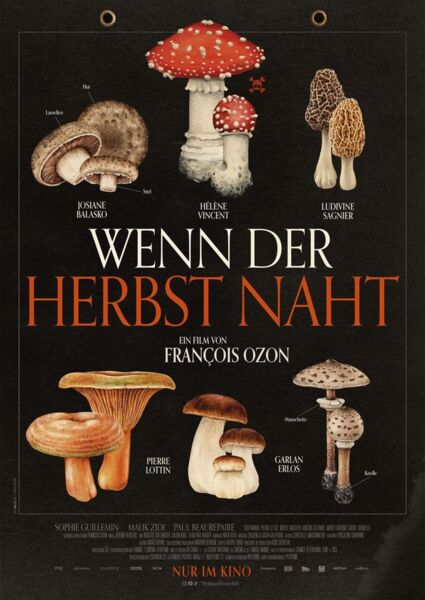 wenn-der-herbst-naht