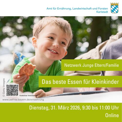 das-beste-essen-fur-kleinkinder-online