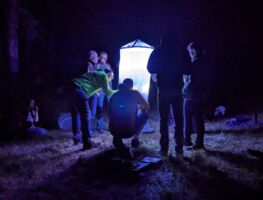 Nachtschwärmer