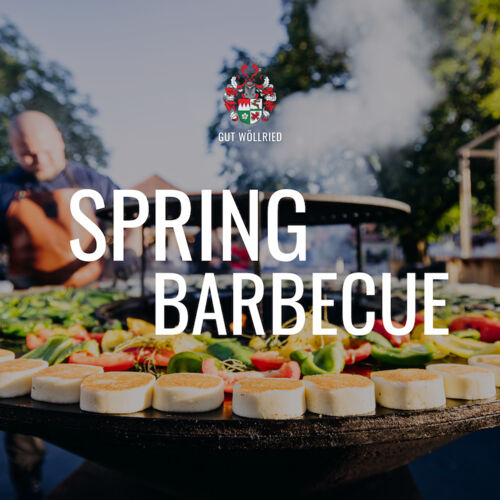 spring-bbq-auf-gut-wollried